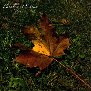 18🈲🍆🍑无套直看片
