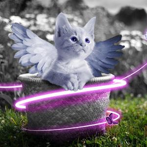 18🈲🍆🍑无套直看片
